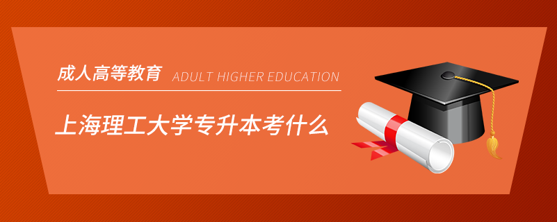 上海理工大学专升本考什么